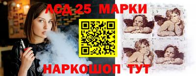 гидропоника Рязань