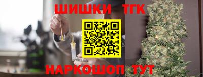 индика Рыбинск