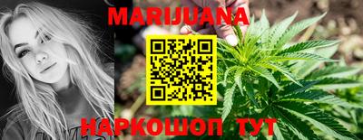 индика Рыбинск