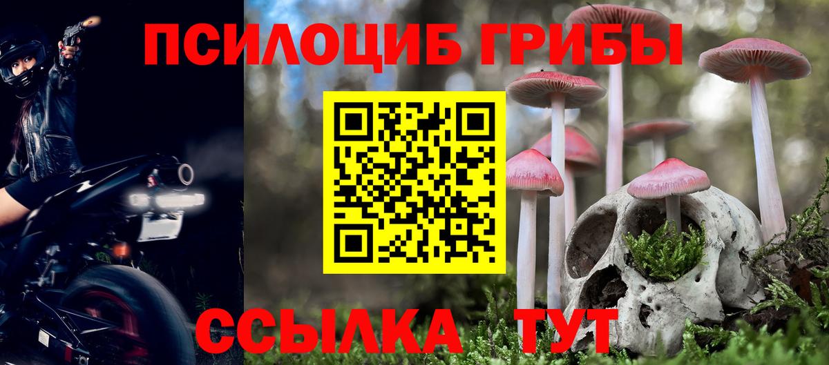 Нижний Тагил  Псилоцибиновые грибы Magic Shrooms  Псилоцибиновые грибы Psilocybe  Вход с VPN 