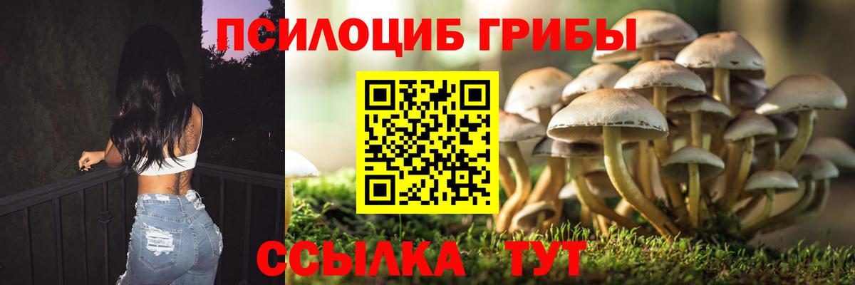 Псилоцибиновые грибы ЛСД Нижний Тагил